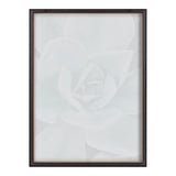 Blake Botanical Succulent Plants 3 Framed Printed Glass by The Creative by kateandlaurel - product image 4 for Resin Society