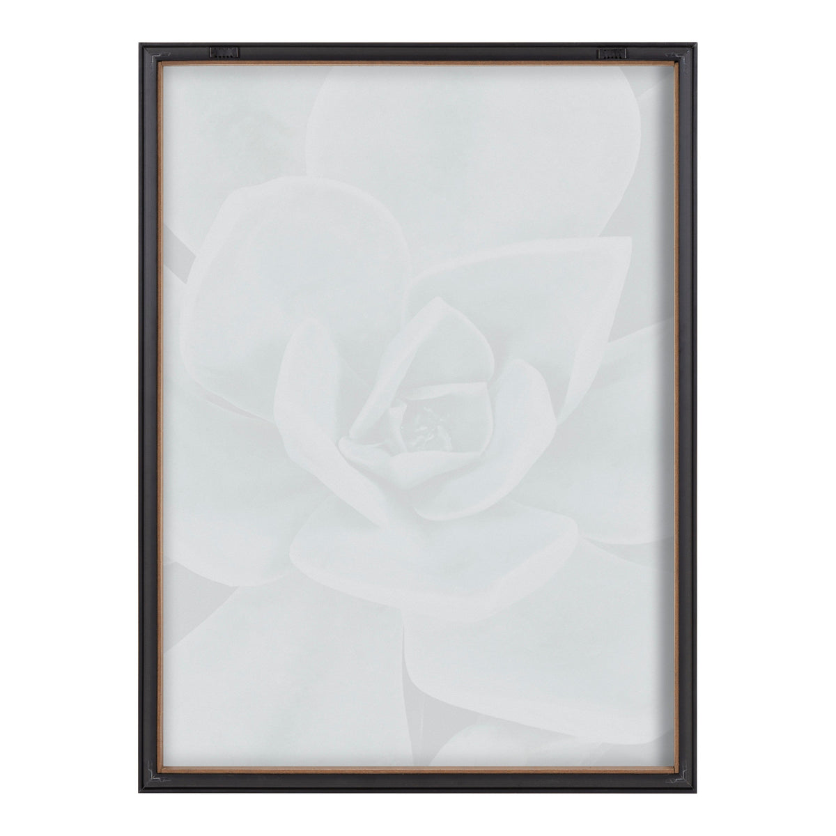 Blake Botanical Succulent Plants 3 Framed Printed Glass by The Creative by kateandlaurel - product image 4 for Resin Society