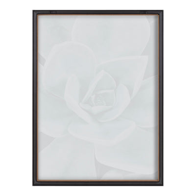 Blake Botanical Succulent Plants 3 Framed Printed Glass by The Creative by kateandlaurel - product image 4 for Resin Society