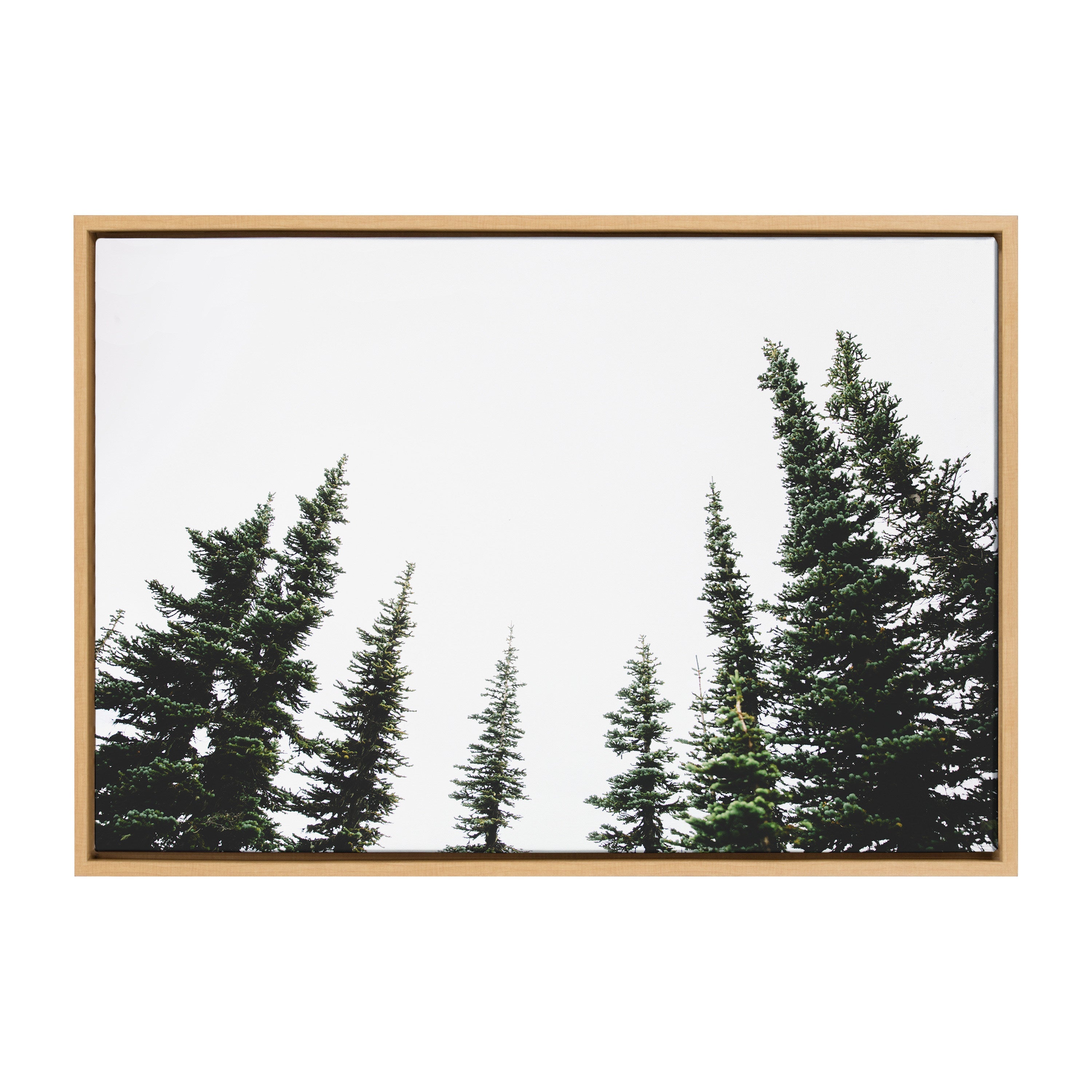 Sylvie Evergreens Framed Canvas by Patricia Hasz