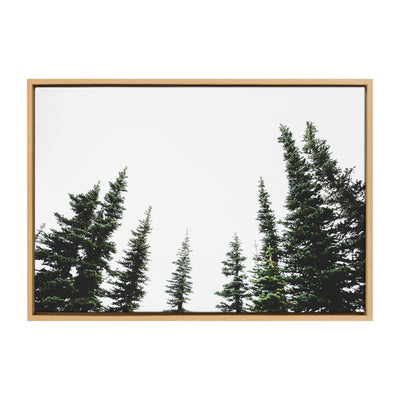 Sylvie Evergreens Framed Canvas by Patricia Hasz