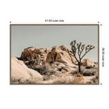 Framed canvas print of Joshua Tree desert landscape with large smooth boulders and a distinct Joshua tree under a pale blue sky, dimensions 41 by 28 inches.