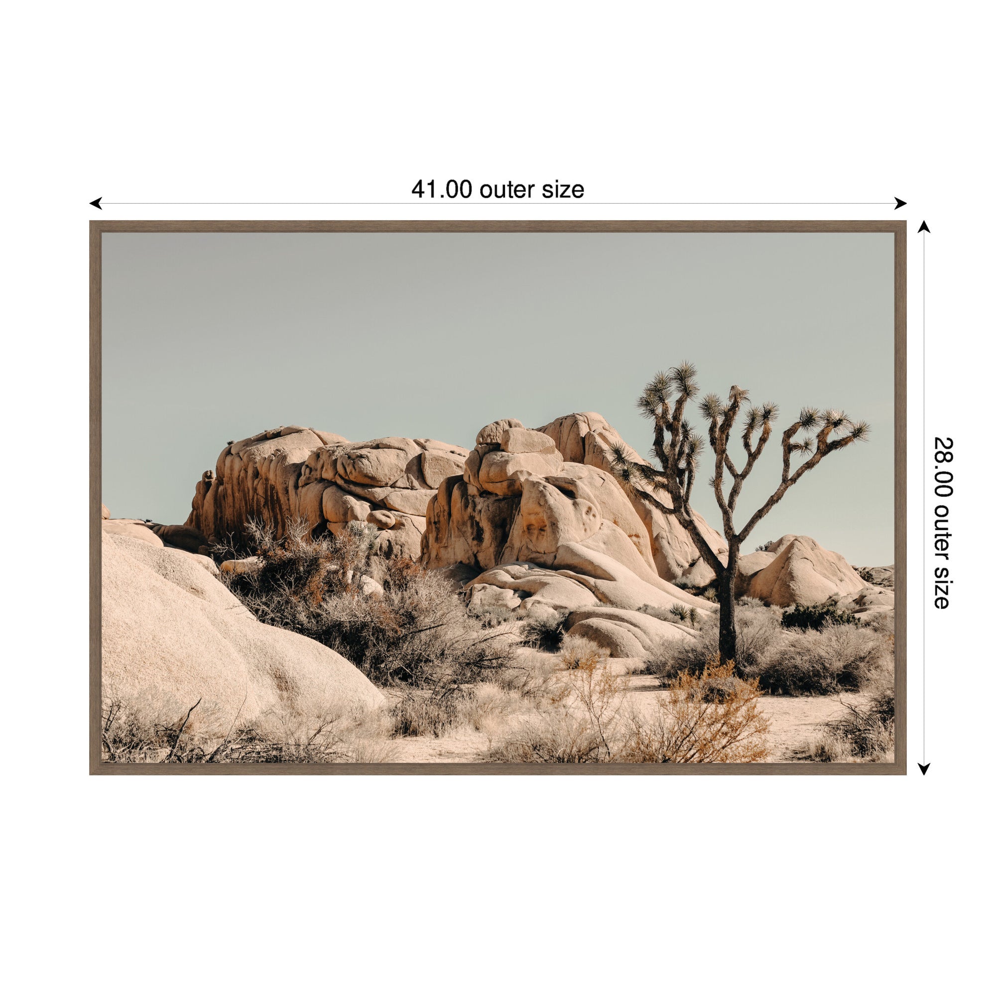 Joshua Tree No.
3 by Alicia Bock Framed Canvas Wall Art Print