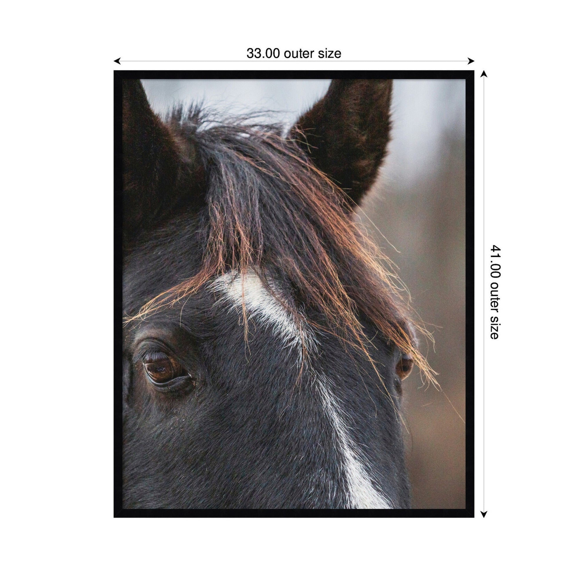 Black and White Horse by Emiko and Mark Franzen F2 Images Framed Wall Art Print