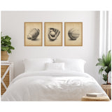 Three framed canvas prints above a white bed showing vintage-style drawings of a football, a baseball glove with ball, and a basketball on beige backgrounds.
