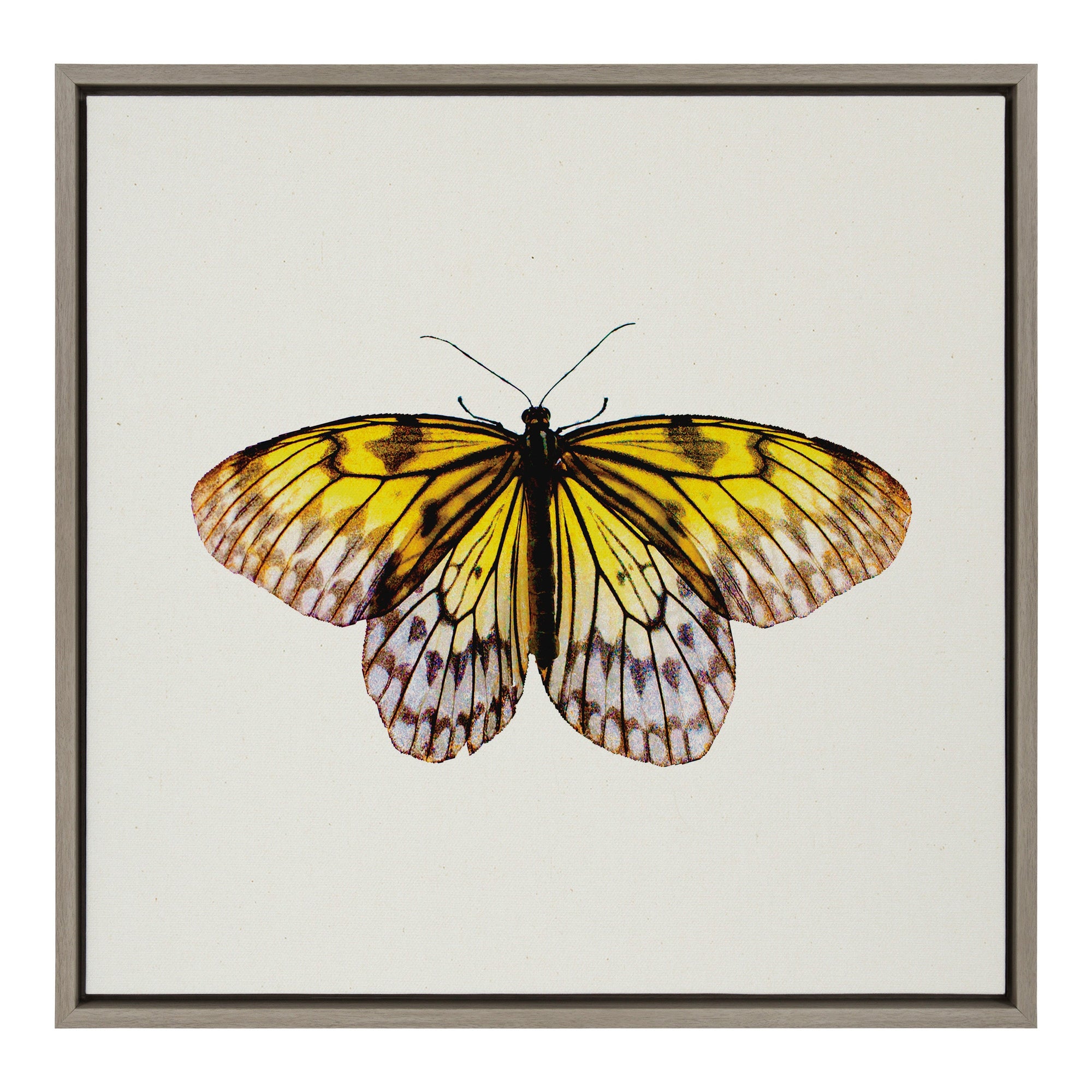 Sylvie Limon Framed Canvas by kateandlaurel - main product image for Resin Society
