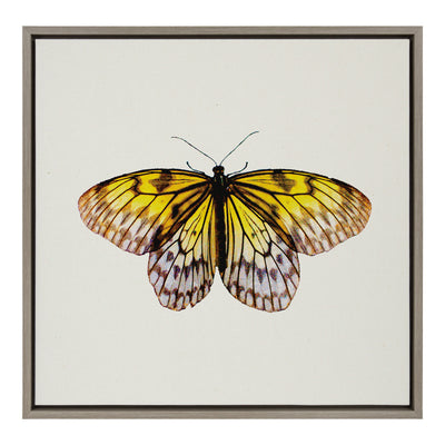 Sylvie Limon Framed Canvas by kateandlaurel - main product image for Resin Society