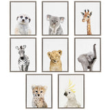 Sylvie Baby Zebra Framed Canvas by Amy Peterson