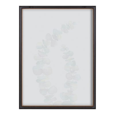 Blake Eucalyptus 2 Branches Framed Printed Glass by Emily Marie