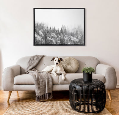 Sylvie Forest On A Foggy Day BW Framed Canvas
