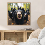 Framed photo of seven black bears in a forest, with a close-up of a smiling bear's face in the center and autumn leaves on the ground.