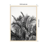 Black and white framed print of tall palm leaves clustered against a white background, dimensions 32 by 42 inches outer size.