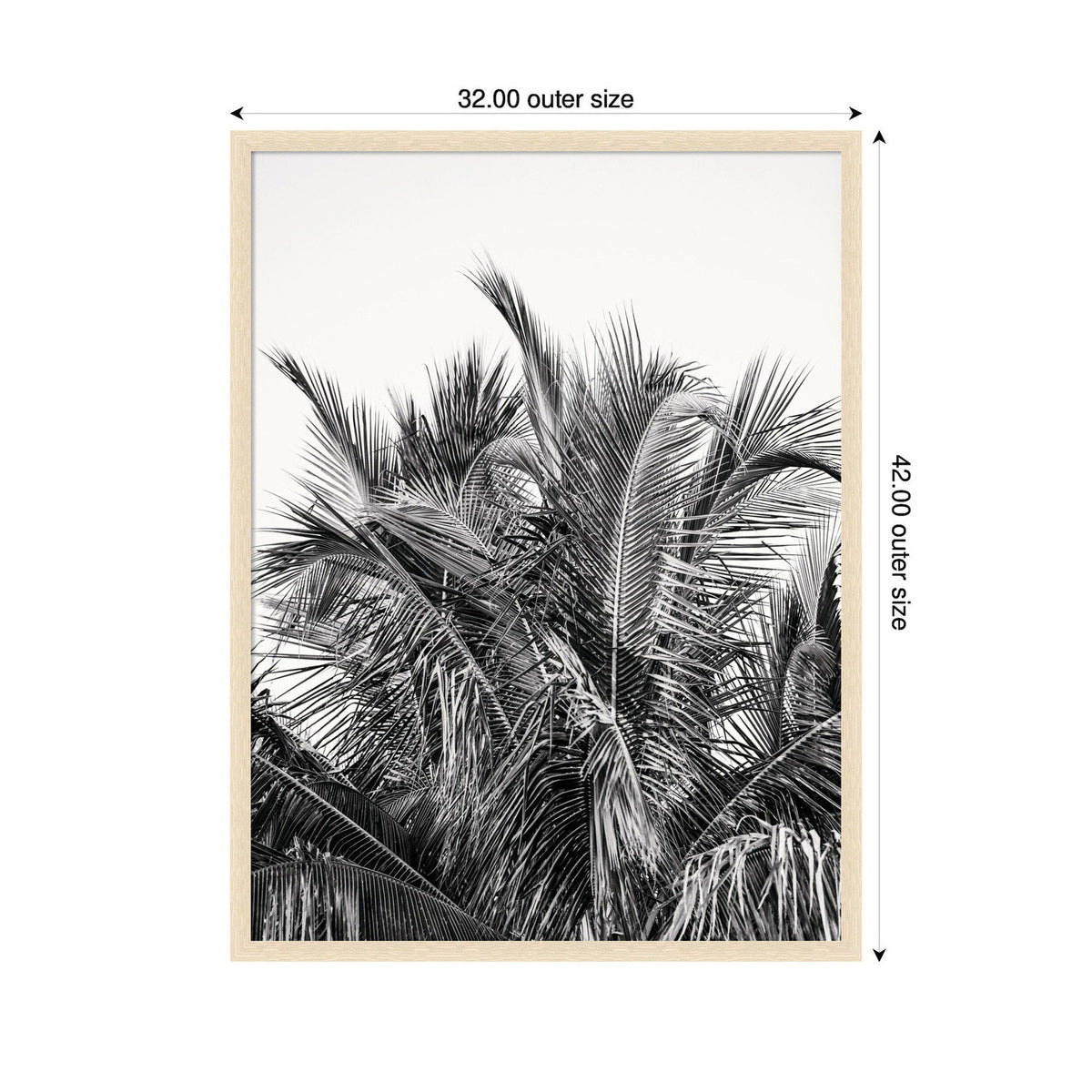 Black and white framed print of tall palm leaves clustered against a white background, dimensions 32 by 42 inches outer size.