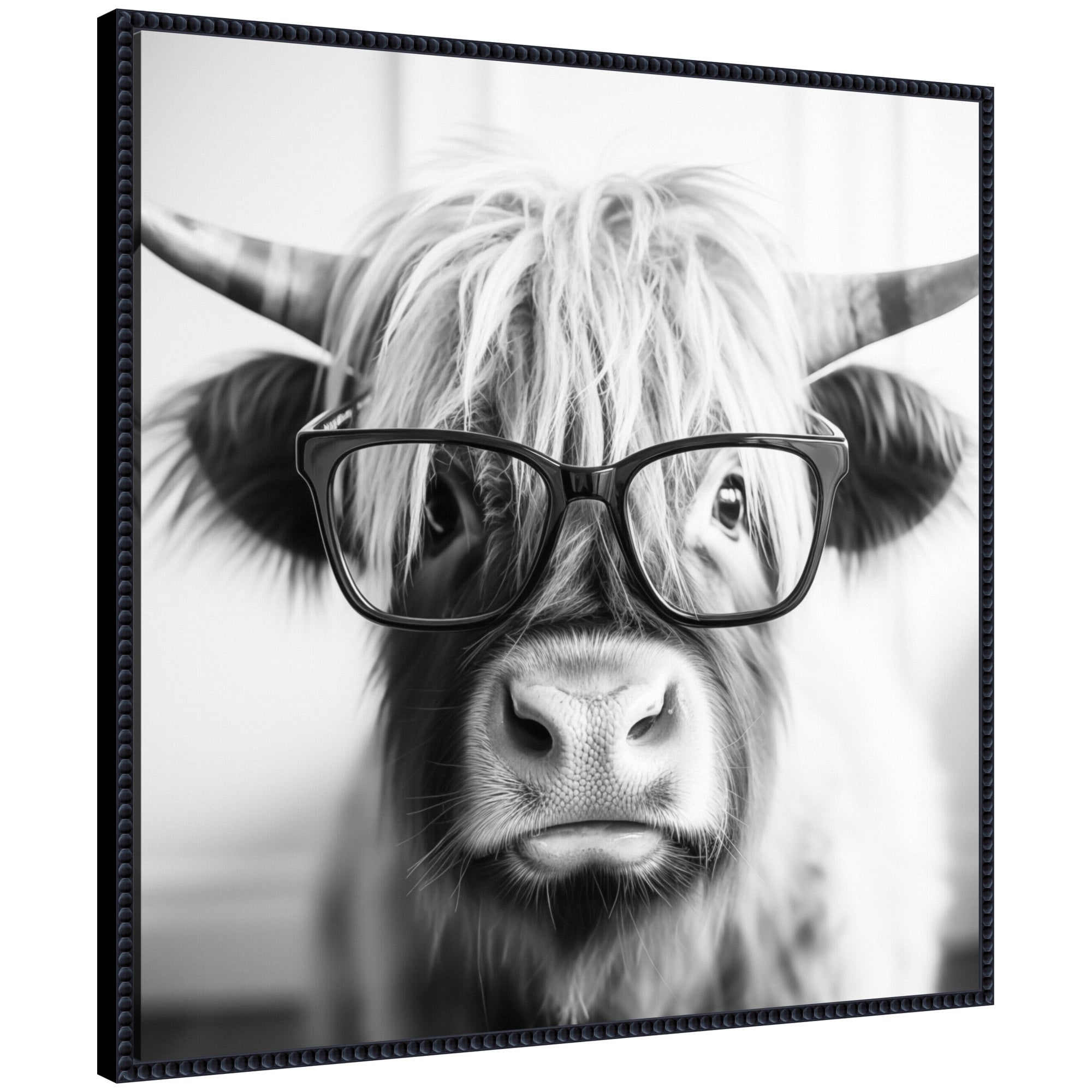 Framed black and white canvas art featuring a highland cow wearing reading glasses