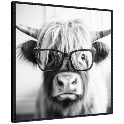 Framed black and white canvas art featuring a highland cow wearing reading glasses