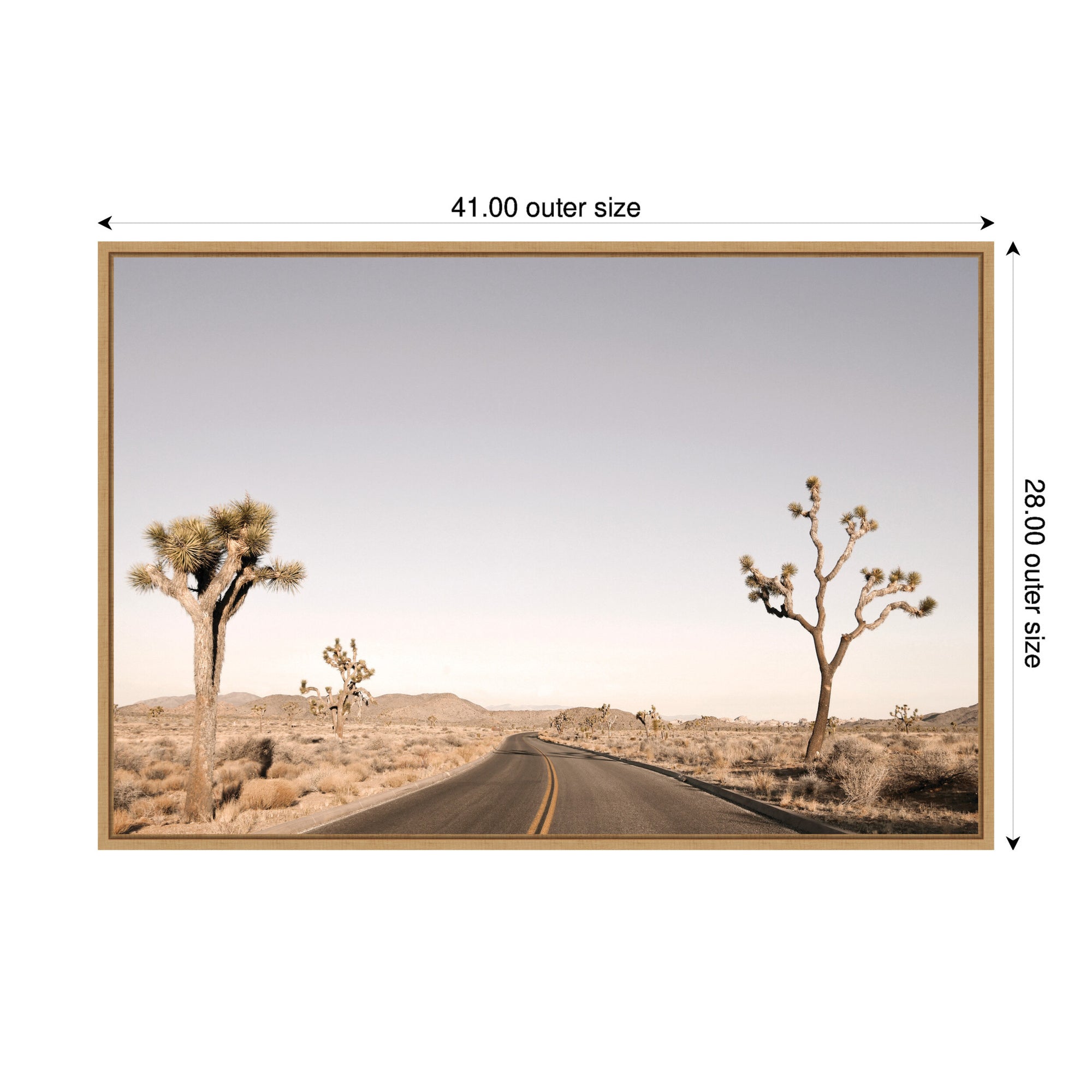 Driving Joshua Tree No.
3 by Alicia Bock Framed Canvas Wall Art Print
