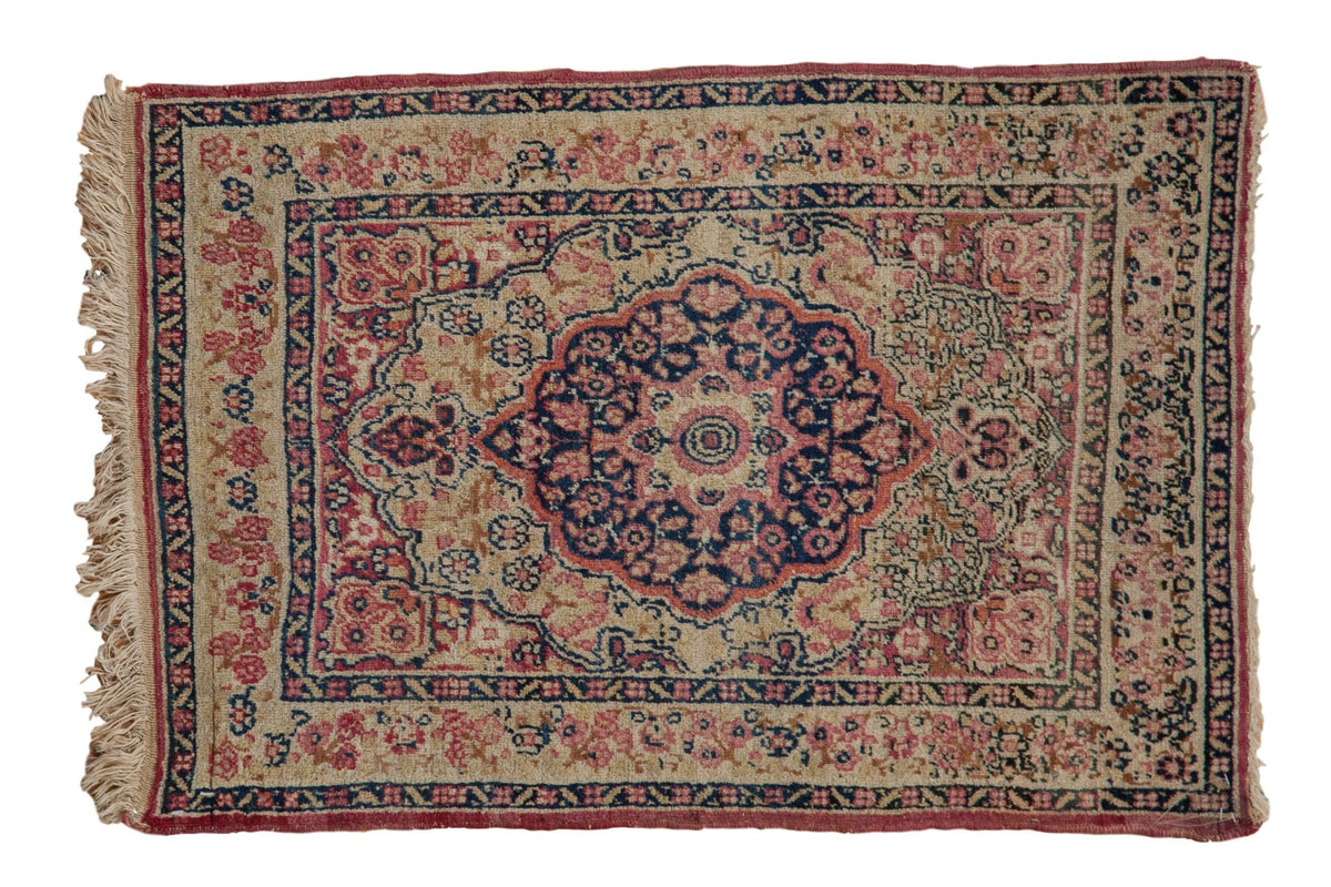 2x3 Antique Kerman Rug Mat by Old New House® - main product image for Resin Society