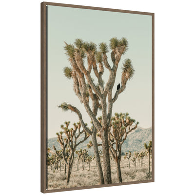 Framed canvas wall art depicting a solitary crow perched on a Joshua tree branch in a soft, muted desert landscape