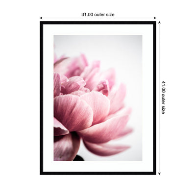 Pink Peony No1 by Mareike Bohmer Framed Wall Art Print