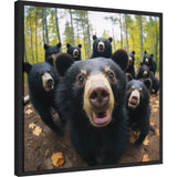 Close-up wide-angle view of a group of black bears in a forest with yellow-green leaves, focusing on a curious bear's face near the camera.