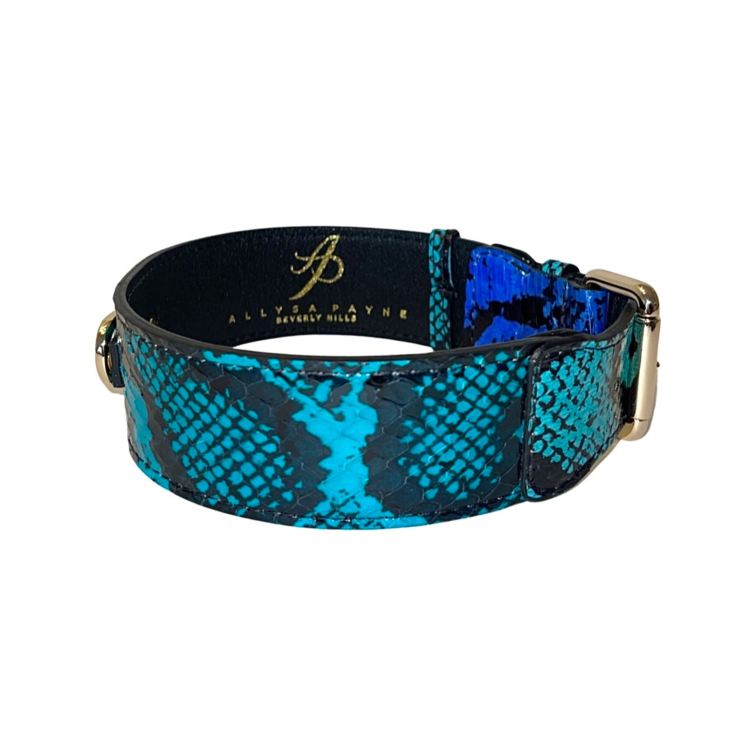Black collar with electric turquoise snake print pattern and gold classic buckle hardware, featuring interior gold logo text on black lining.