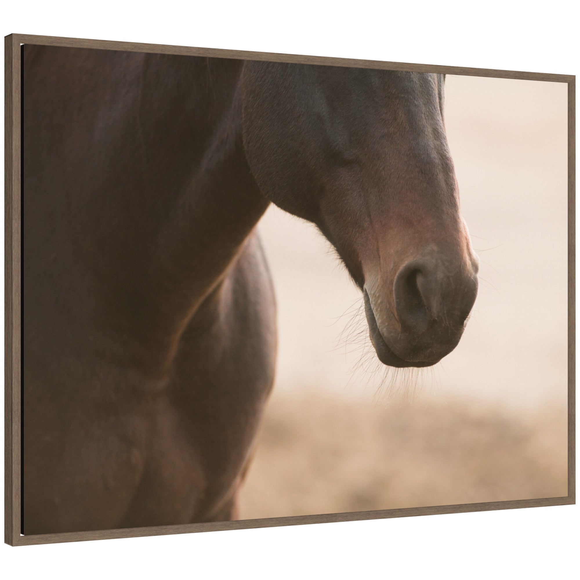 Dusty by Crystal Lynn Collins framed canvas wall art showing a close-up of a horse's muzzle in warm brown tones with a beaded dark gold frame