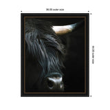 Close-up of a black Highland cow's head with long shaggy hair and a prominent ivory-colored horn against a dark background, framed in black with gold accents.