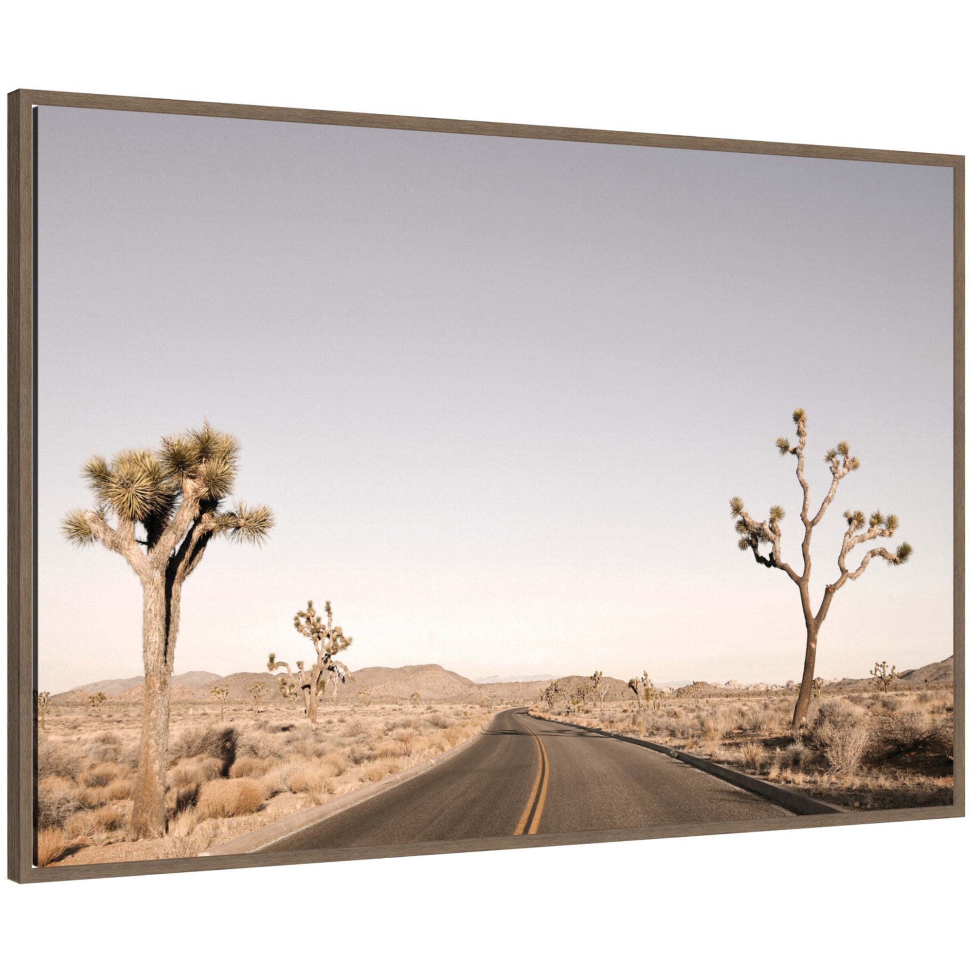 Driving Joshua Tree No.
3 framed canvas wall art by Alicia Bock showing a desert landscape with Joshua trees and a winding road