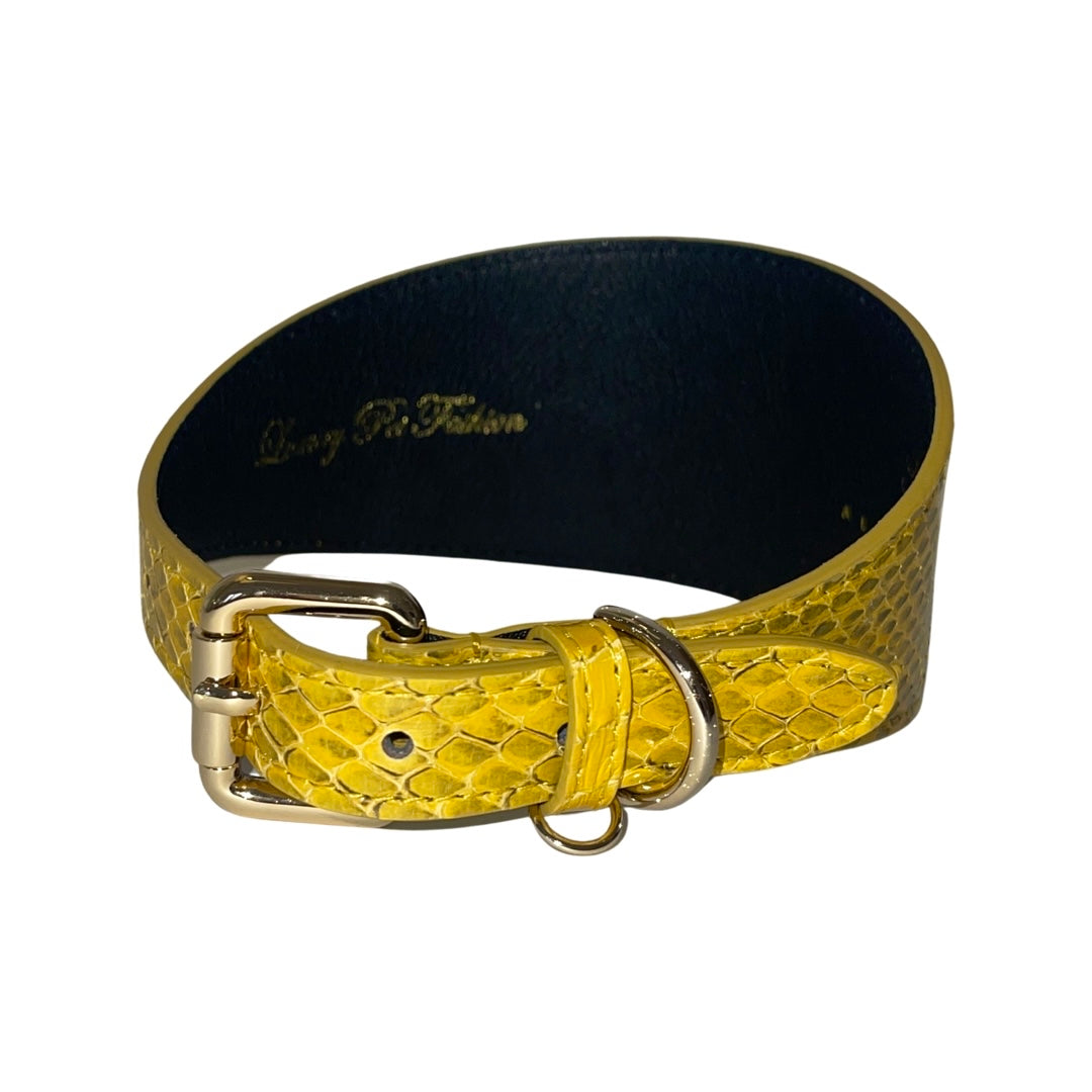 Mustard yellow and black wide 3-inch collar with snake skin texture and a silver buckle and D-ring, shown in a looped position.