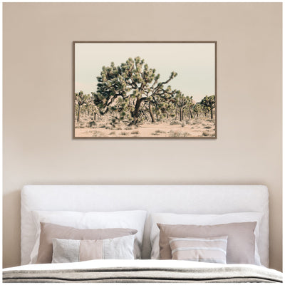 Joshua Tree No.
1 by Alicia Bock Framed Canvas Wall Art Print