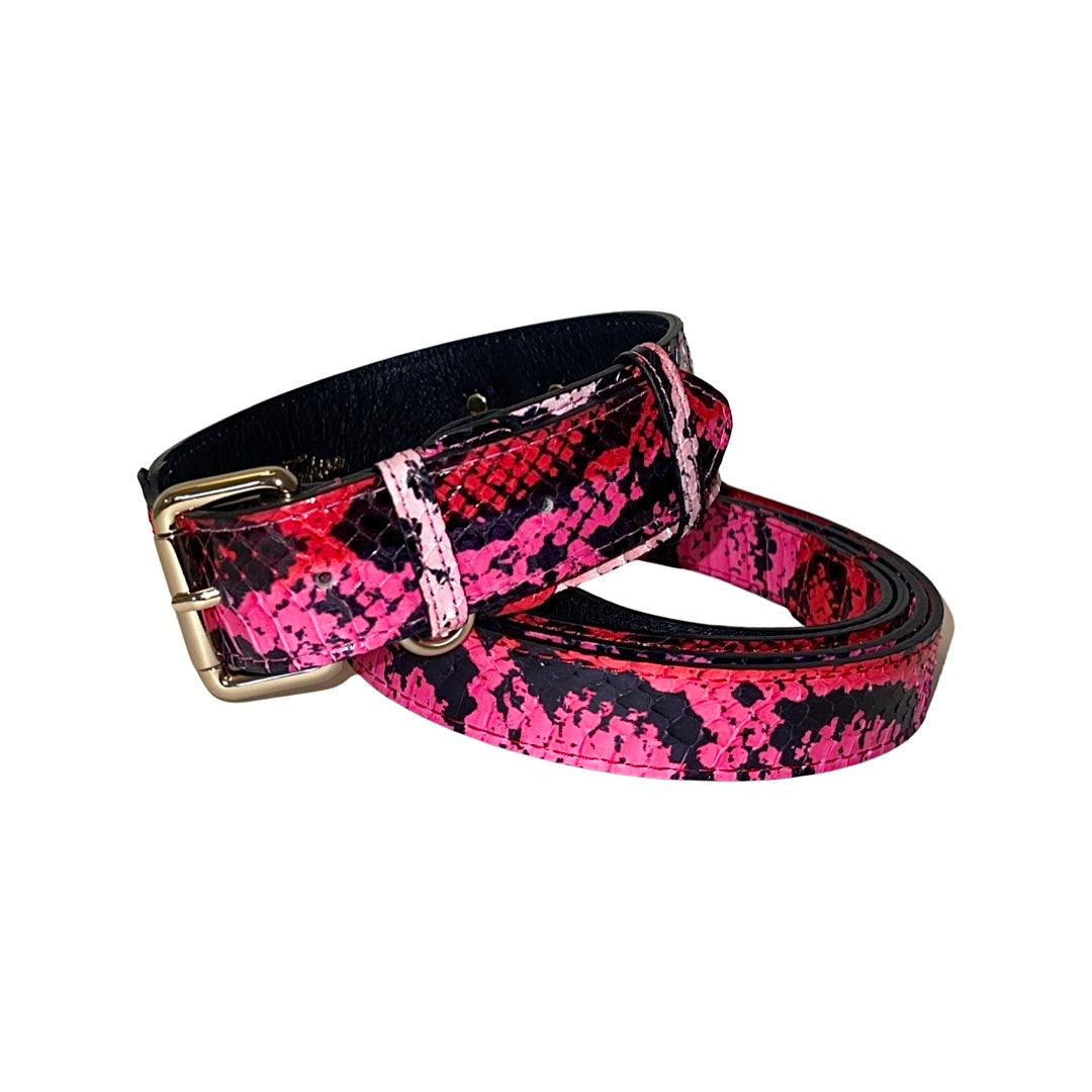 Fuchsia, light pink, red & black snake patterned dog collar and leash with gold hardware on white background