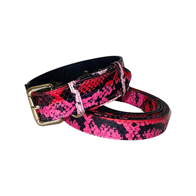 Fuchsia, light pink, red & black snake patterned dog collar and leash with gold hardware on white background