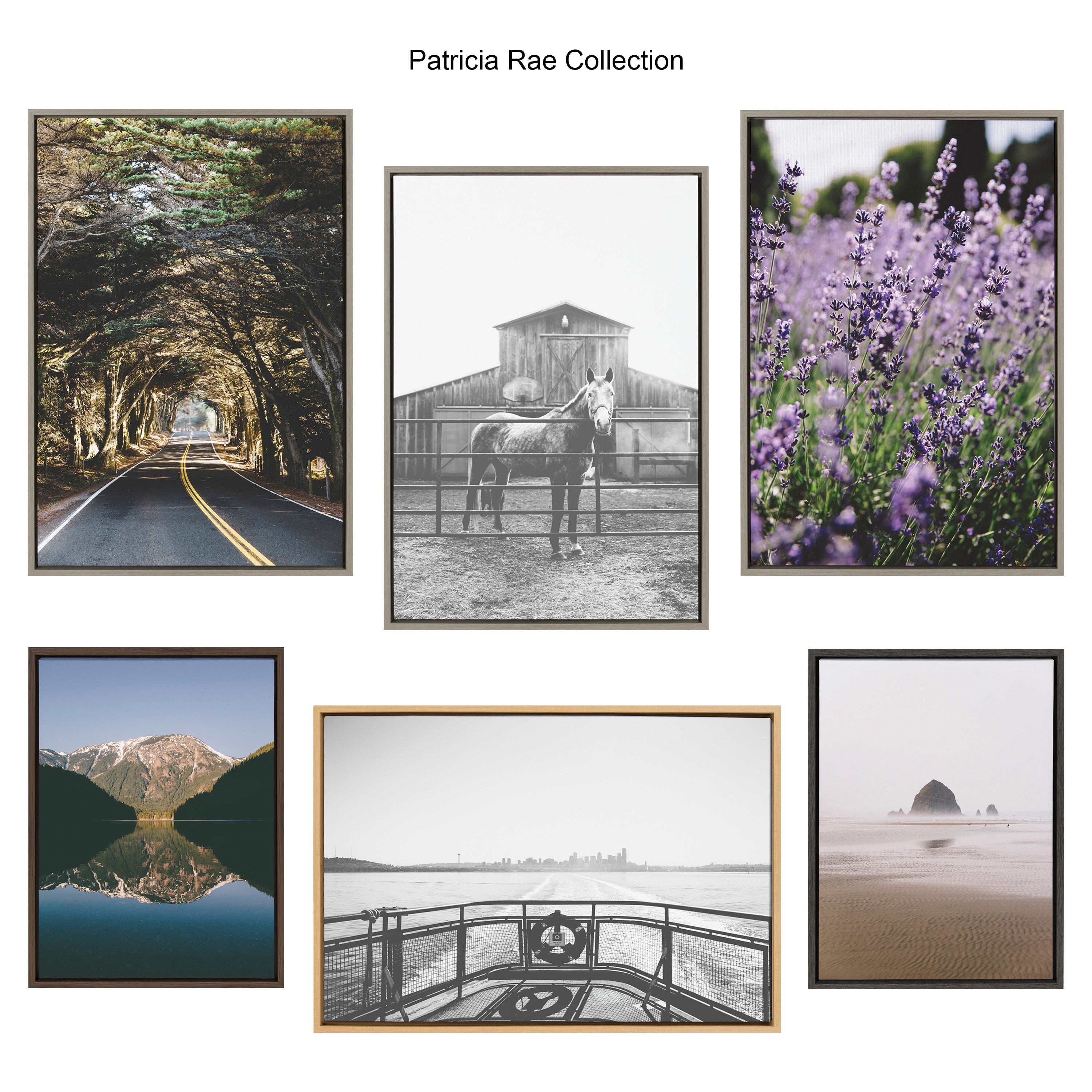 Sylvie Road Tripping Framed Canvas by Patricia Hasz