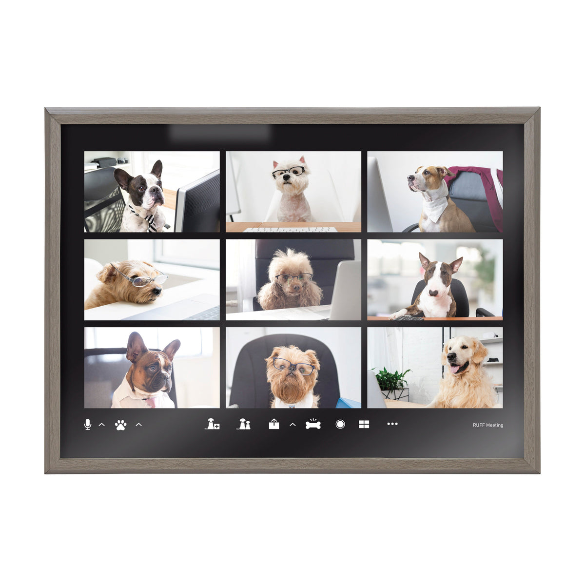 Blake Video Chat Dogs Framed Printed Glass by The Creative Bunch Studio by kateandlaurel - product image 2 for Resin Society