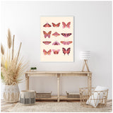 Framed canvas artwork featuring twelve vintage-style butterflies in shades of pink, orange, and purple arranged in a grid on a cream background above a wooden console table.