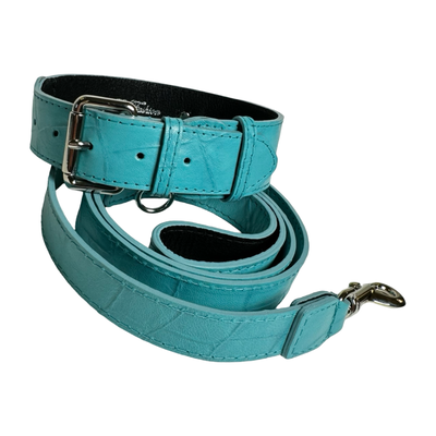 Turquoise blue leather pet collar and leash set with embossed crocodile pattern and silver hardware