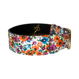 Dog collar with vibrant orange, purple, blue, and red floral print on white leather and a gold metal classic buckle, shown in a slightly coiled view.