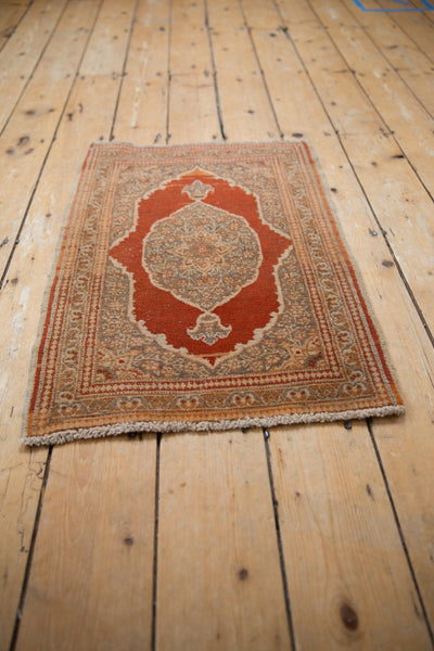 1.5x2.5 Vintage Tabriz Rug Mat by Old New House® - product image 5 for Resin Society