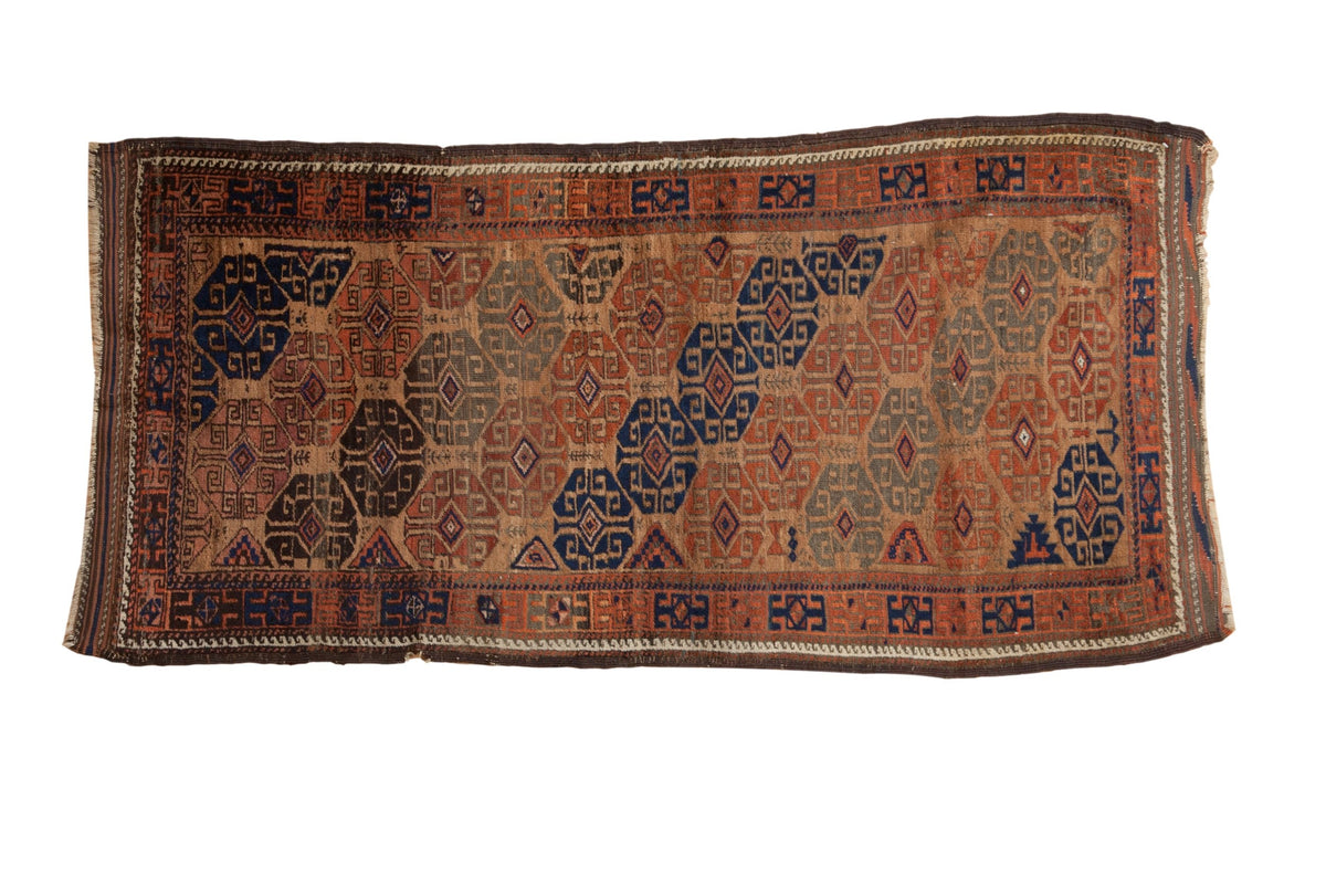3x6 Antique Belouch Rug Runner by Old New House® - main product image for Resin Society