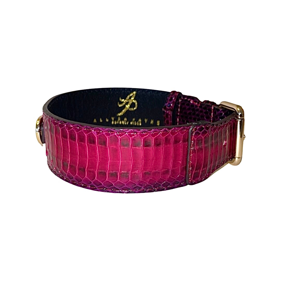 Wide classic collar with ruby red and purple snake pattern leather and a gold buckle, shown against white background.