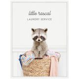 Gray raccoon peeking out from a woven basket filled with colorful laundry against a white paneled wall with text "little rascal laundry service" above.