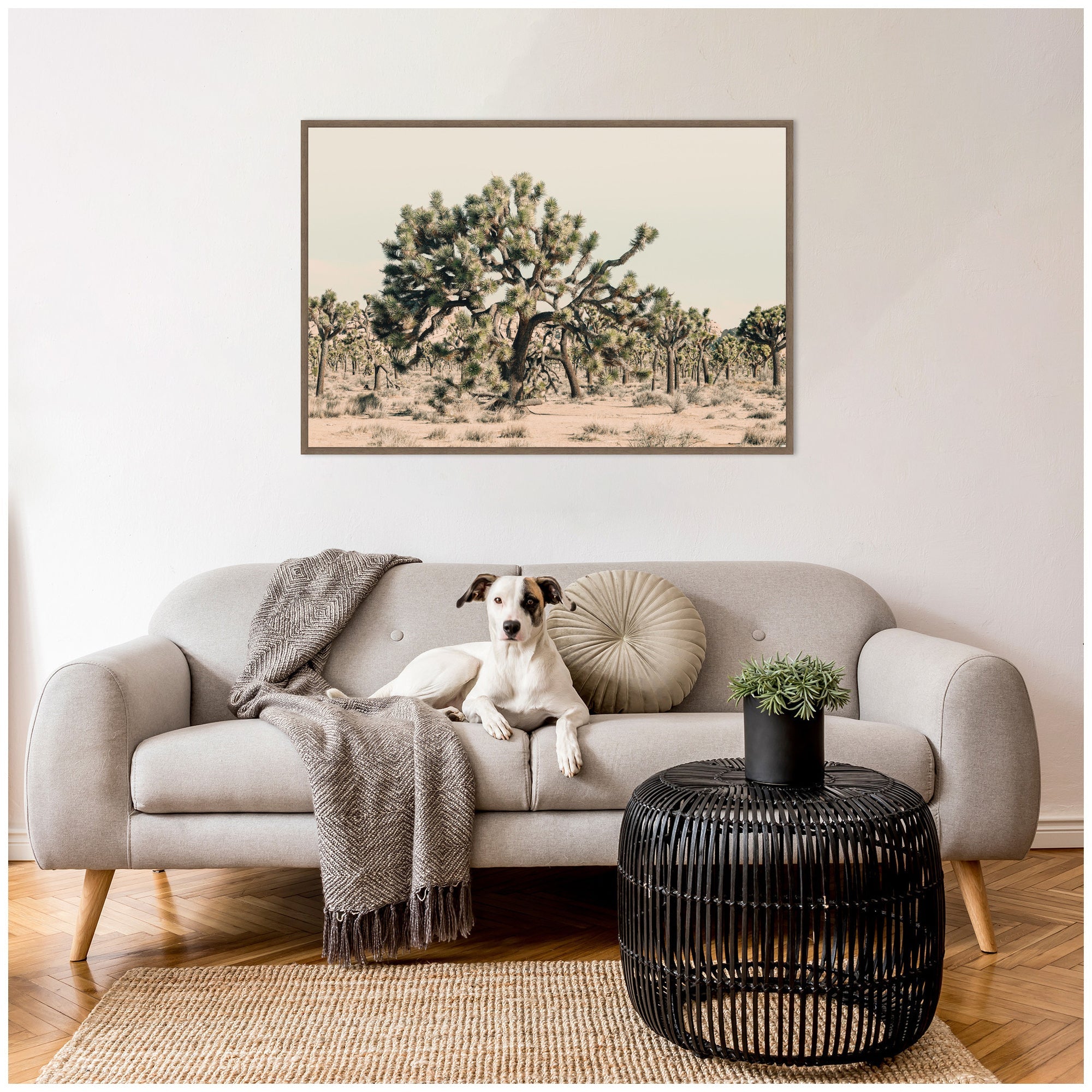 Joshua Tree No.
1 by Alicia Bock Framed Canvas Wall Art Print