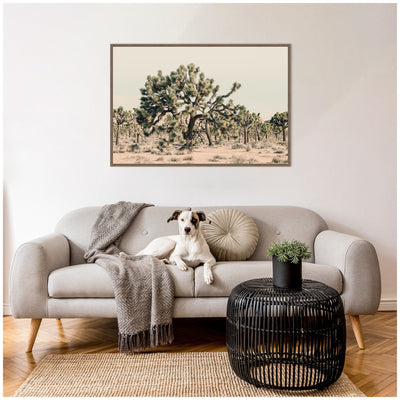 Joshua Tree No.
1 by Alicia Bock Framed Canvas Wall Art Print