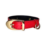 Dark orange dog collar with gold Italian hardware laid flat on white surface