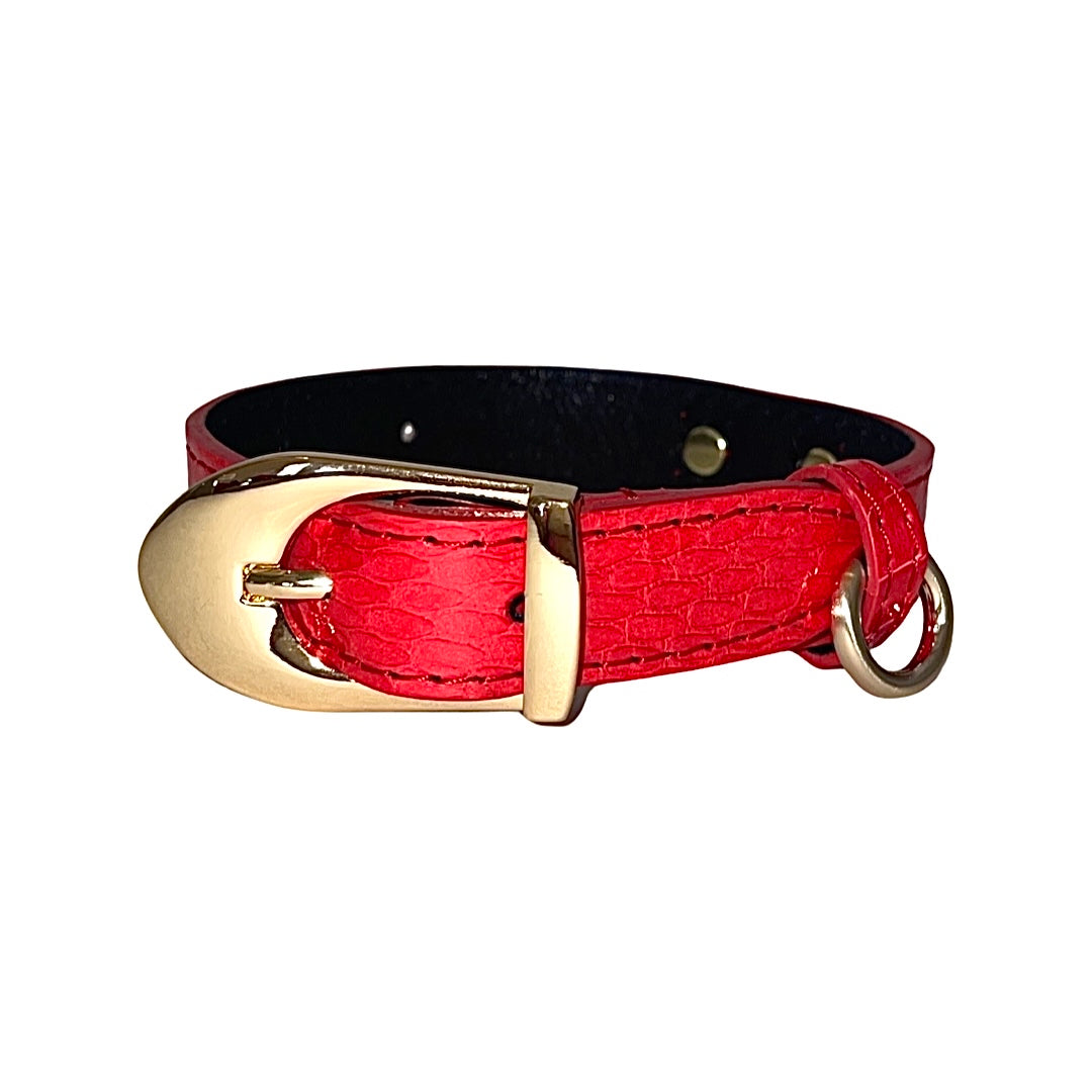 Dark orange dog collar with gold Italian hardware laid flat on white surface
