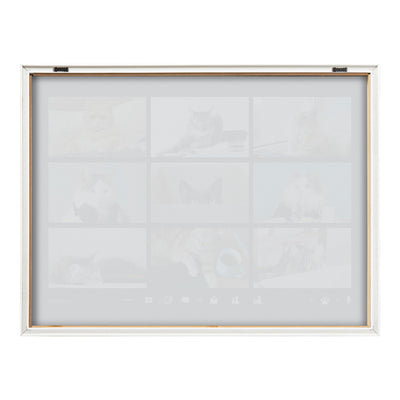 Blake Video Chat Cats Framed Printed Glass by The Creative Bunch Studio by kateandlaurel - product image 4 for Resin Society