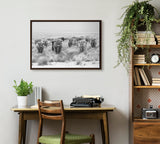 Sylvie Herd of Highland Cows Black and White Framed Canvas by The
