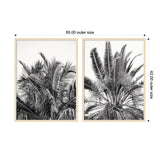 Two framed black-and-white photographic prints featuring close-up views of palm tree fronds with varied textures and intricate patterns, sized 65 by 42 inches outer dimensions.