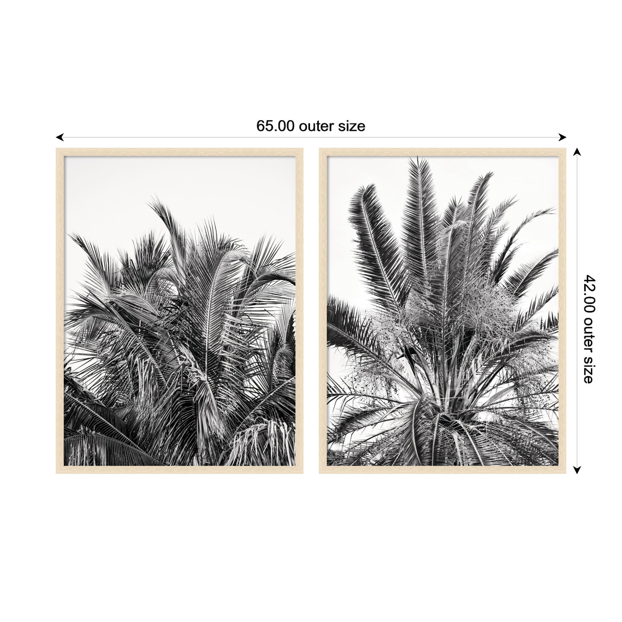 Palm No.
13 & 15 2 Piece Framed Wall Art Print Set by Alicia Bock