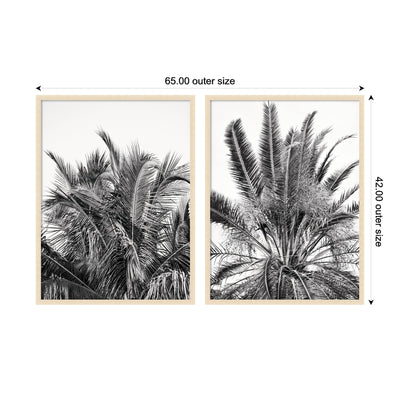 Palm No.
13 & 15 2 Piece Framed Wall Art Print Set by Alicia Bock